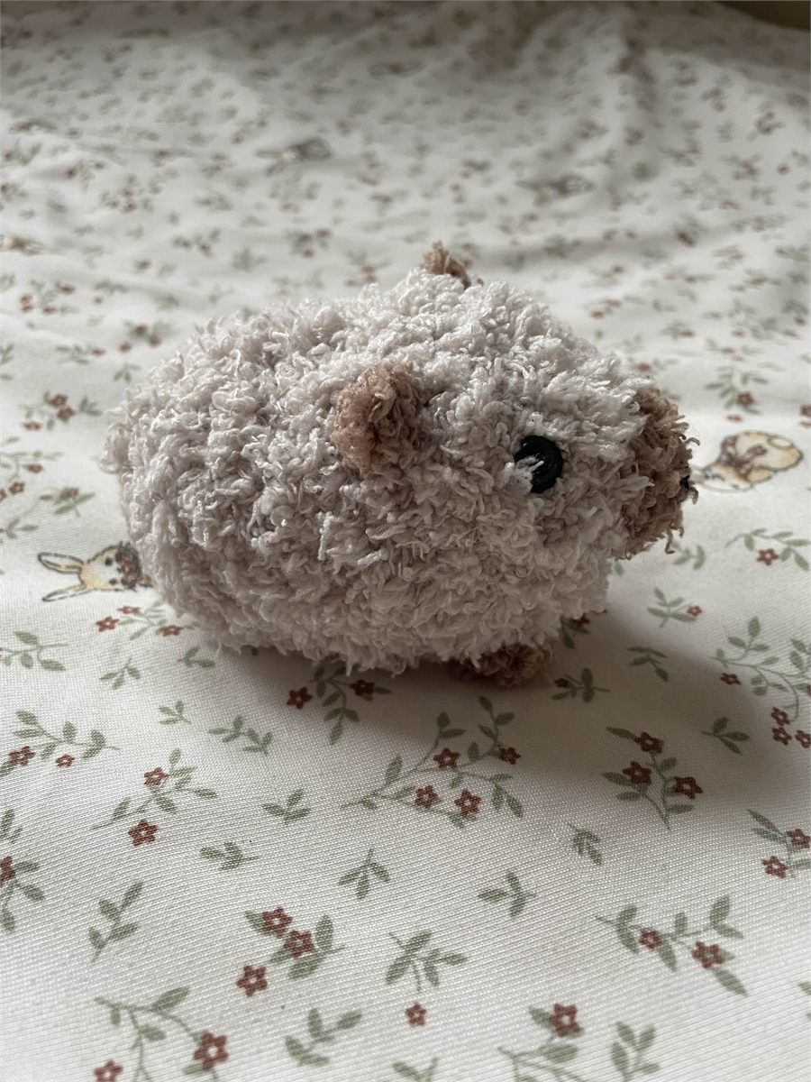 Fuzzy Capybara