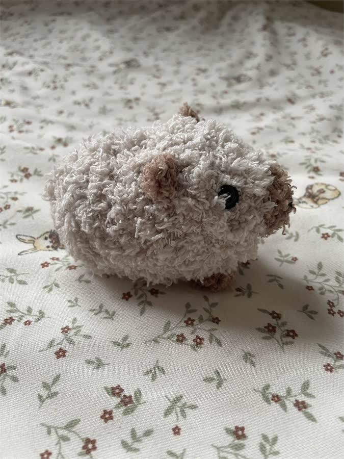 Fuzzy Capybara